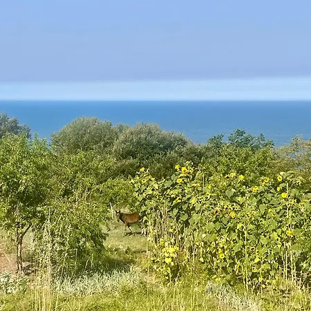 Tiny House With Sunset Over The Ocean Дом отдыха *