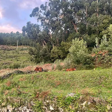 Tiny House With Sunset Over The Ocean Dom wakacyjny