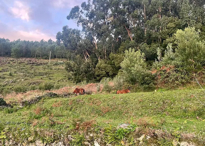 Tiny House With Sunset Over The Ocean Σπίτι διακοπών